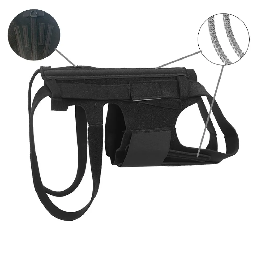 Best IVDD Back Brace For Dogs For Sale | Lovepluspet