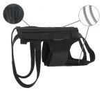Best IVDD Back Brace For Dogs For Sale | Lovepluspet