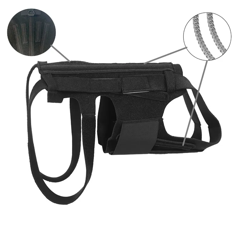Best IVDD Back Brace For Dogs For Sale | Lovepluspet