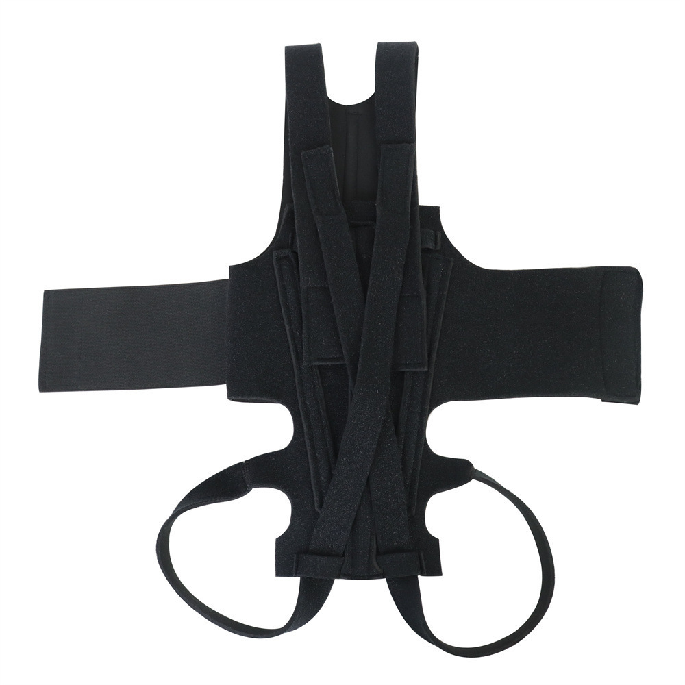 Best IVDD Back Brace For Dogs For Sale | Lovepluspet