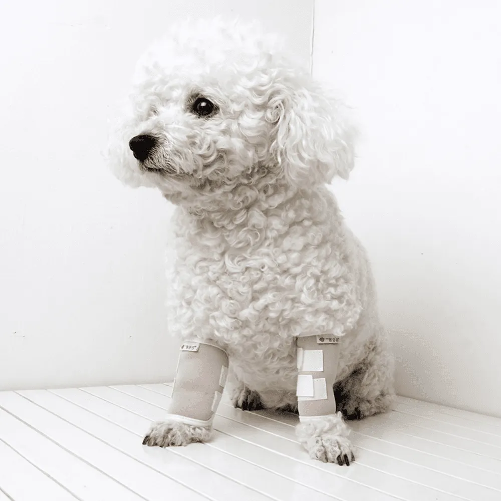 Best Dog Front Leg Carpal Splint For Sale | LOVEPLUSPET