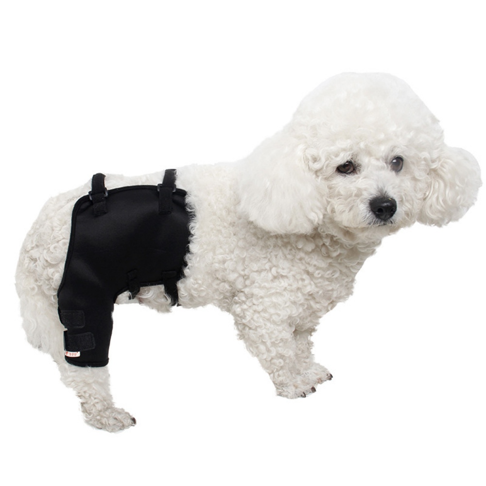 Best Dog Hip Hound Brace For Sale | LOVEPLUSPET