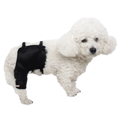 Hip Hound Brace for Dogs 01