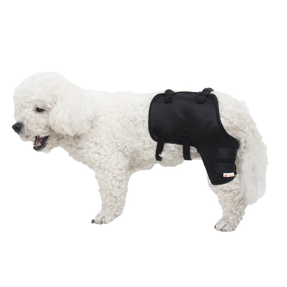 Best Dog Hip Hound Brace For Sale | LOVEPLUSPET