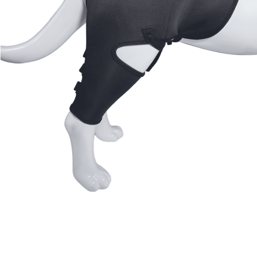 Best Dog Hip Hound Brace For Sale | LOVEPLUSPET