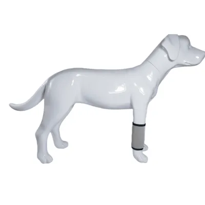 Best Carpal Hyperextension Dog Brace For Sale | LOVEPLUSPET