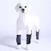 Carpal Hyperextension Dog Brace