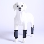 Carpal Hyperextension Dog Brace