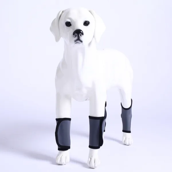 Carpal Hyperextension Dog Brace