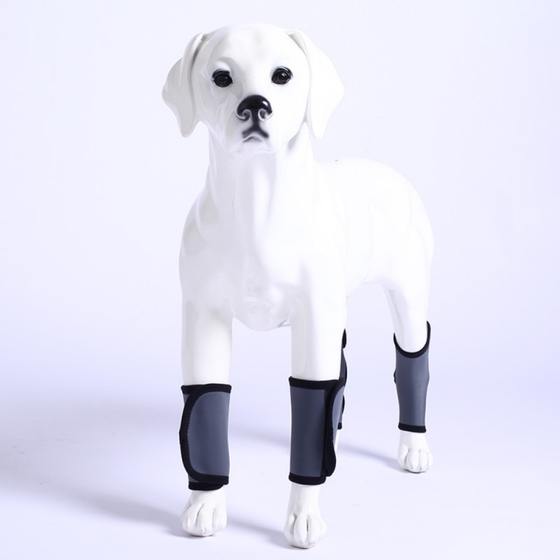 Carpal Hyperextension Dog Brace