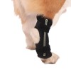 Best Extra Supportive Dog Hock Wrap For Sale | LOVEPLUSPET