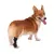 Extra Supportive Dog Hock Warp Brace