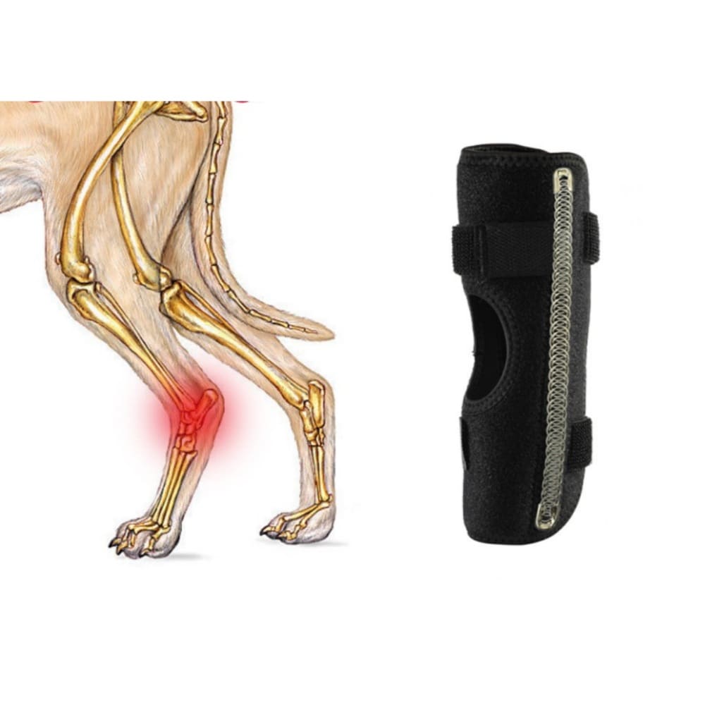 Best Extra Supportive Dog Hock Wrap For Sale | LOVEPLUSPET
