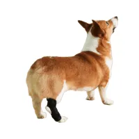 Best Extra Supportive Dog Hock Wrap For Sale | LOVEPLUSPET