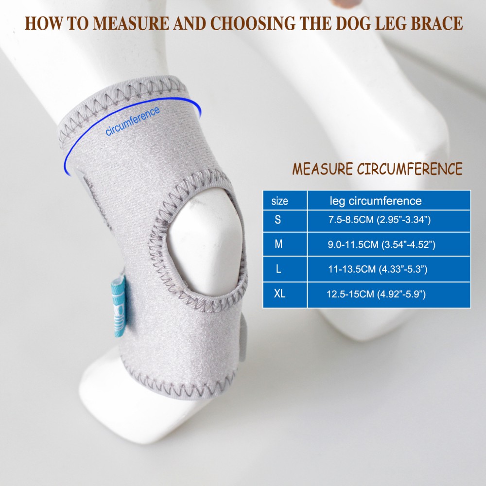 Best Back Hock Dog Brace For Sale | LOVEPLUSPET