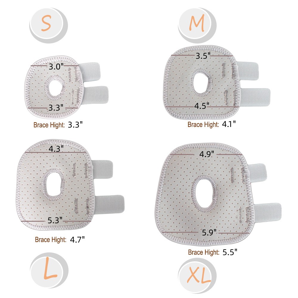 Best Back Hock Dog Brace For Sale | LOVEPLUSPET