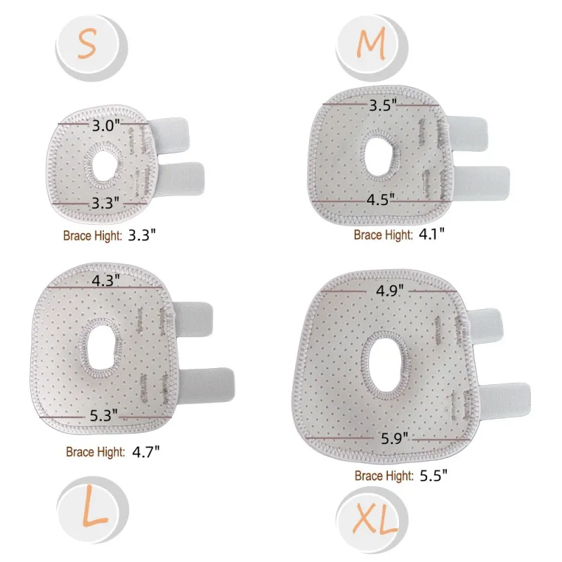 Best Back Hock Dog Brace For Sale | LOVEPLUSPET