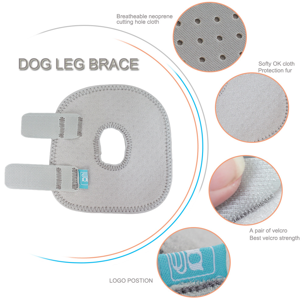 Back Hock Dog Brace