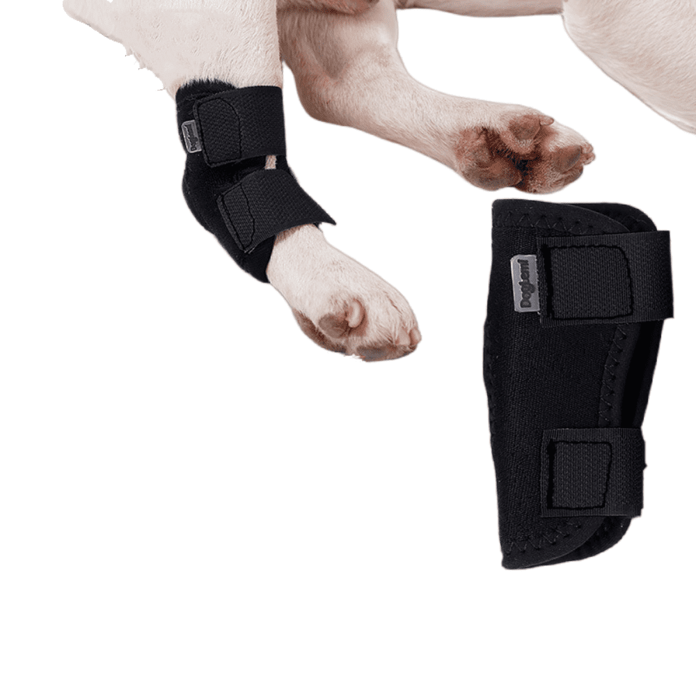 Best Hock Support Brace For Dogs Canine Ankle Brace For Sale
