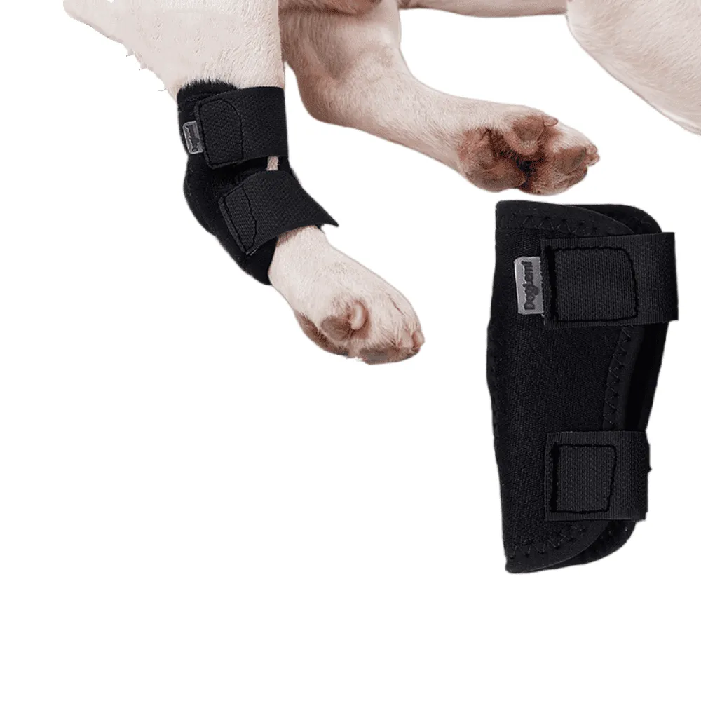 Best Hock Support Brace For Dogs | Canine Ankle Brace For Sale | LOVEPLUSPET