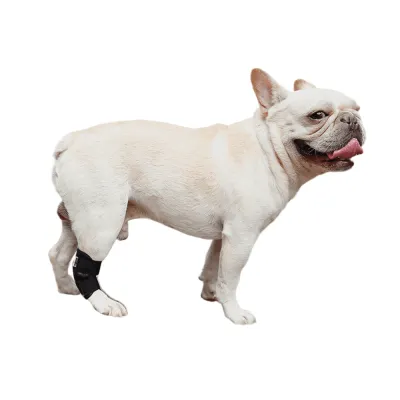 Dog Hock Brace Support Ankle 01