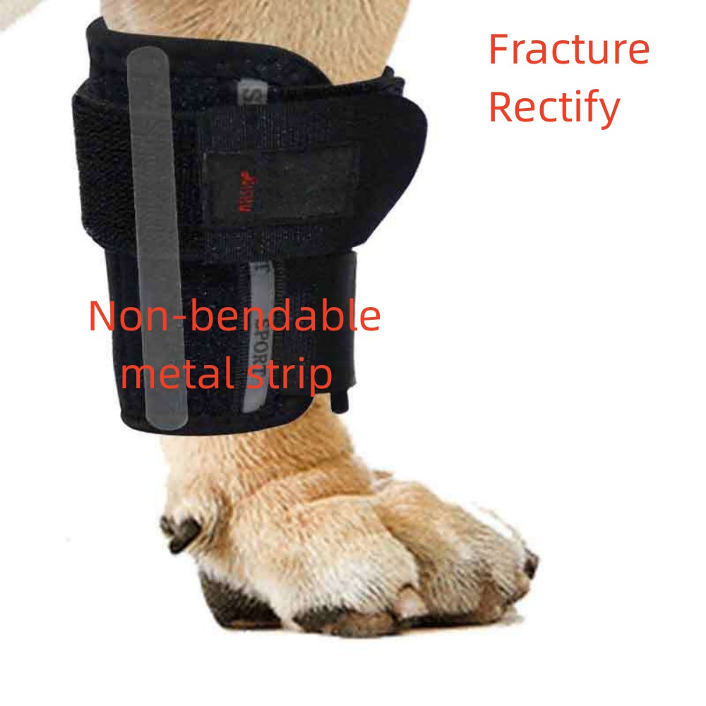 Best Carpal Brace For Dogs For Sale | LOVEPLUSPET