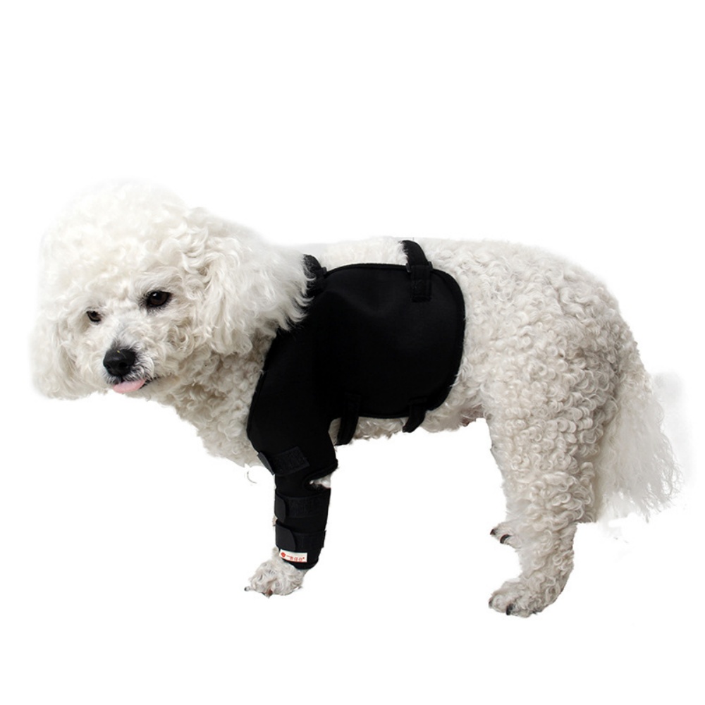 Best Dog Front Shoulder Brace For Sale | LOVEPLUSPET