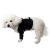 Dog Front Shoulder Brace