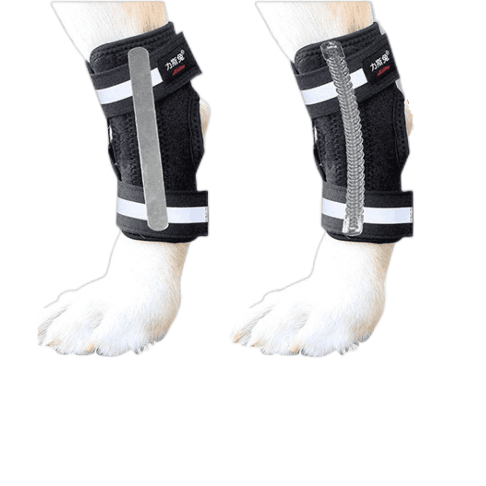 Best Dog Hock Brace For Sale | LOVEPLUSPET
