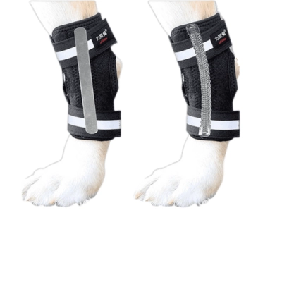 Dog Hock Brace 02