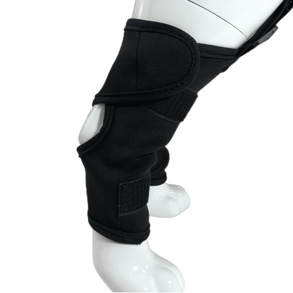 Best Dog Hock Support Brace For Sale | LOVEPLUSPET