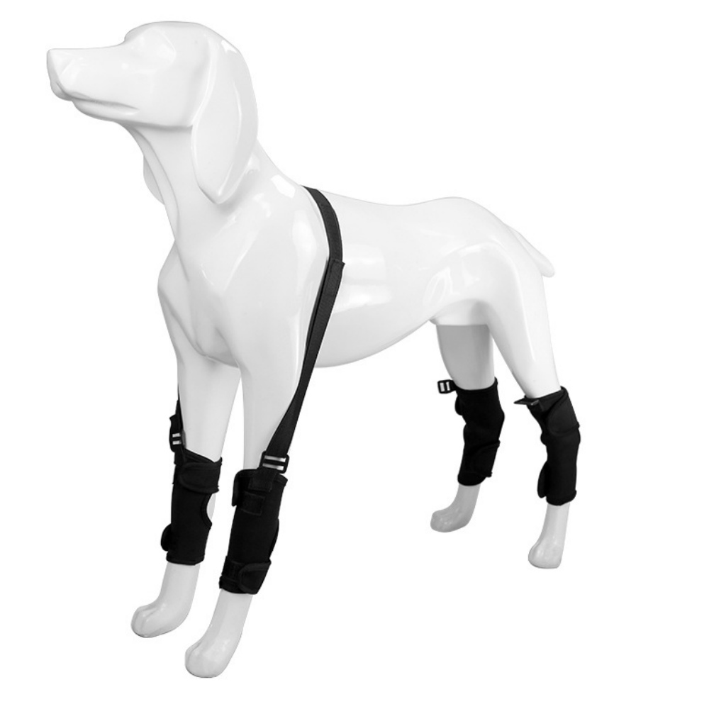 Best Dog Hock Support Brace For Sale | LOVEPLUSPET