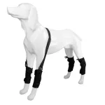 Best Dog Hock Support Brace For Sale | LOVEPLUSPET