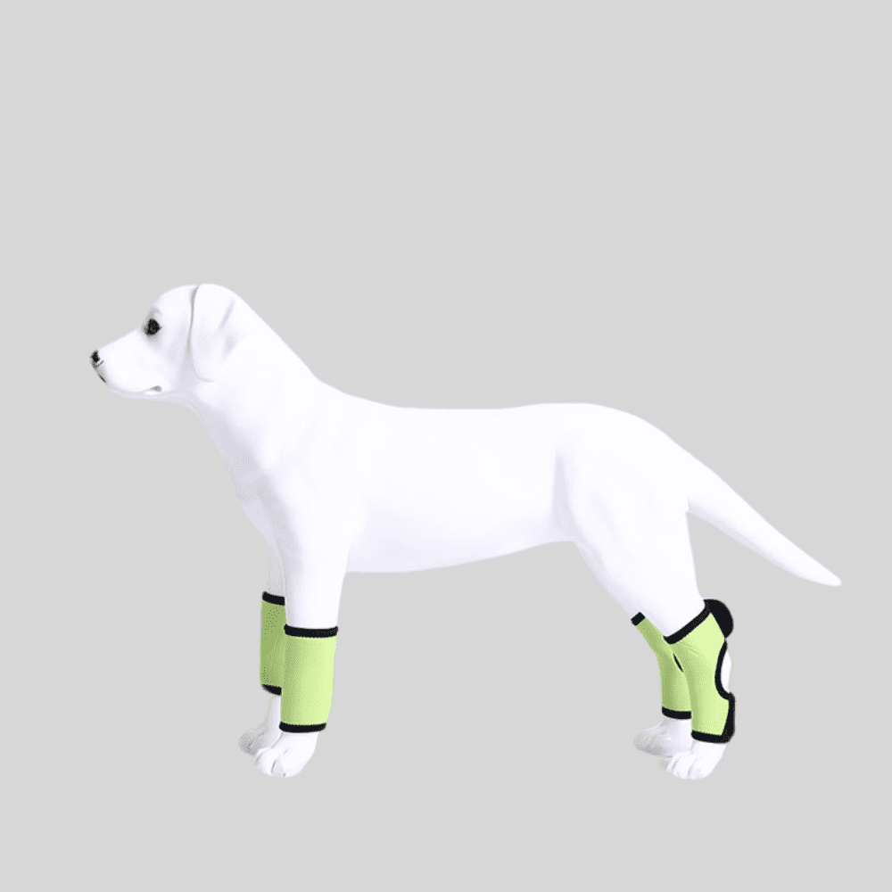 Best Dog Rear Hock Brace For Sale | LOVEPLUSPET