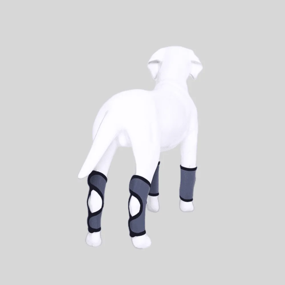 Best Dog Rear Hock Brace For Sale | LOVEPLUSPET