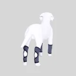 Best Dog Rear Hock Brace For Sale | LOVEPLUSPET