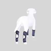 Best Dog Rear Hock Brace For Sale | LOVEPLUSPET