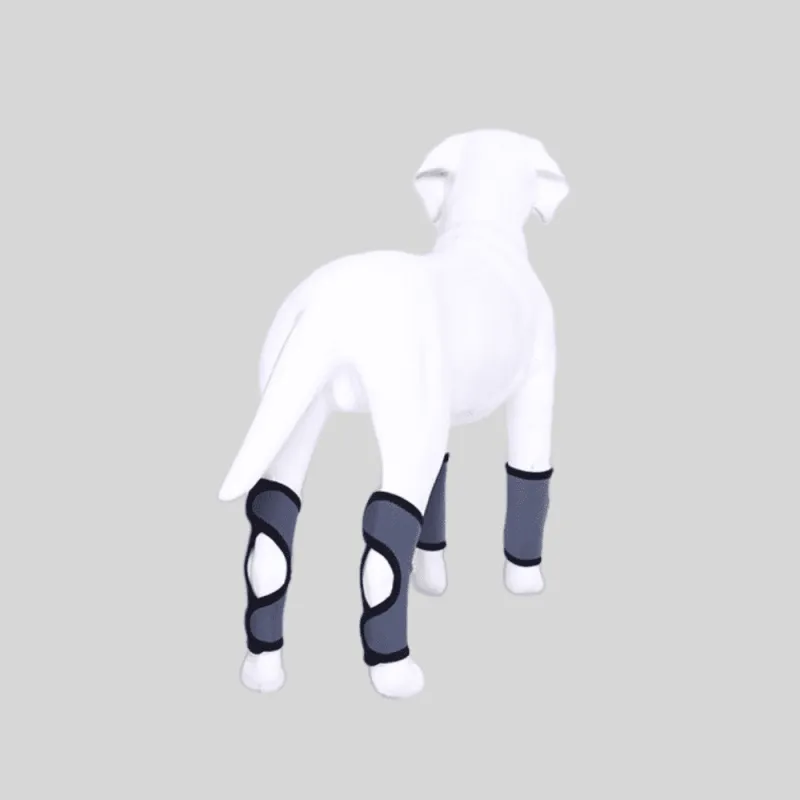 Best Dog Rear Hock Brace For Sale | LOVEPLUSPET