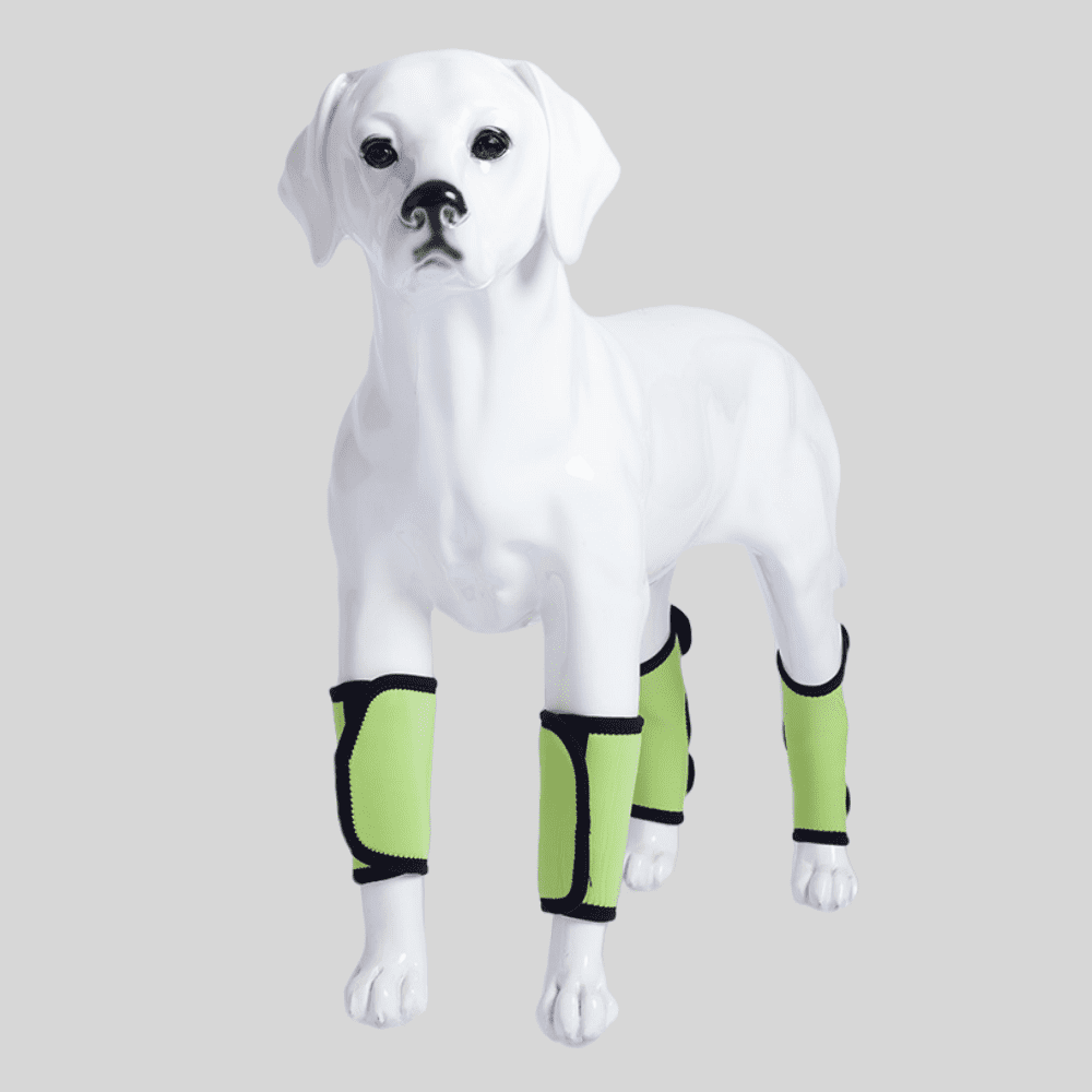 Best Dog Rear Hock Brace For Sale | LOVEPLUSPET