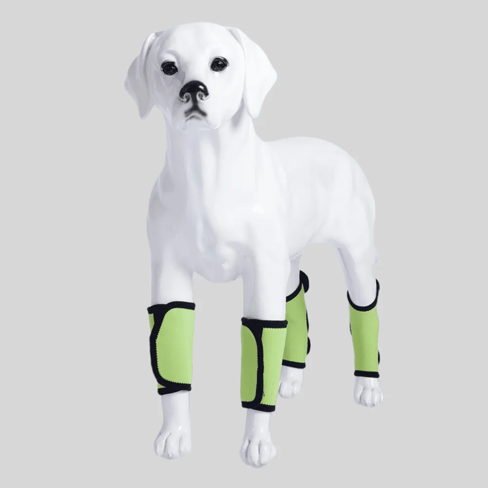 Best Dog Rear Hock Brace For Sale | LOVEPLUSPET