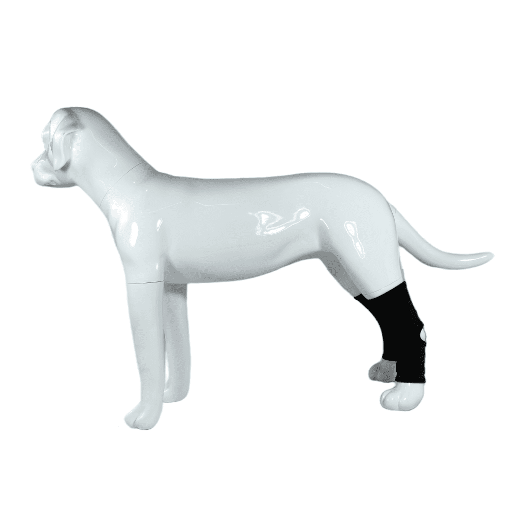 Best Canine Ankle Brace For Sale | LOVEPLUSPET