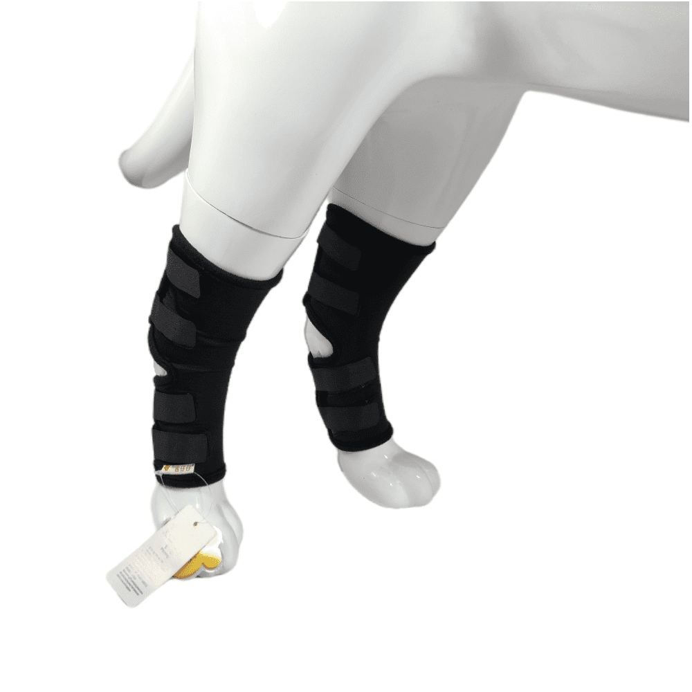 Best Canine Ankle Brace For Sale | LOVEPLUSPET