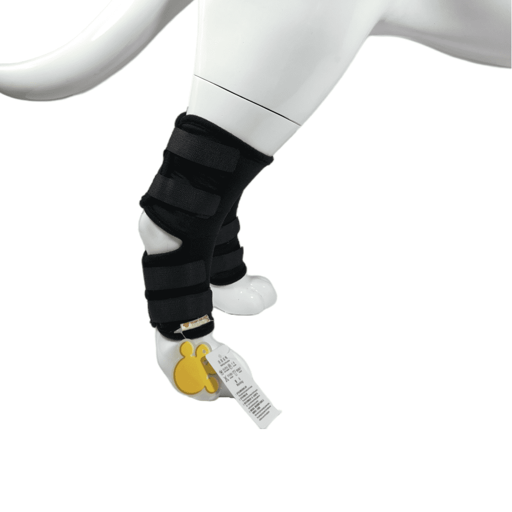 Best Canine Ankle Brace For Sale | LOVEPLUSPET