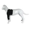 Best Dog Front Shoulder Brace For Sale | LOVEPLUSPET