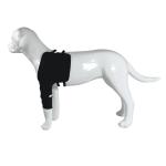 Best Dog Front Shoulder Brace For Sale | LOVEPLUSPET