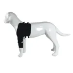 Best Dog Front Shoulder Brace For Sale | LOVEPLUSPET