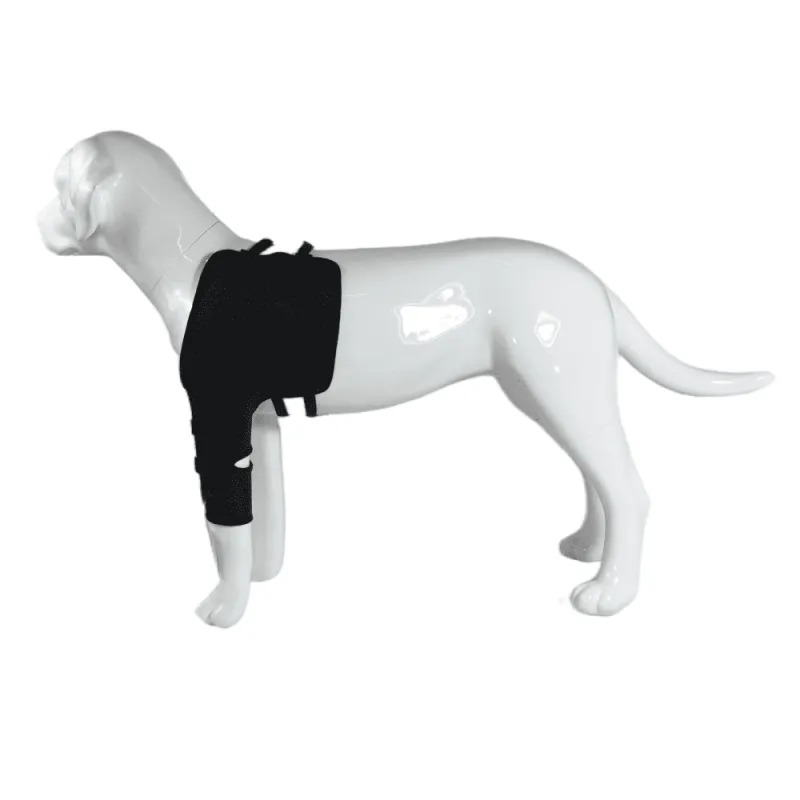 Best Dog Front Shoulder Brace For Sale | LOVEPLUSPET
