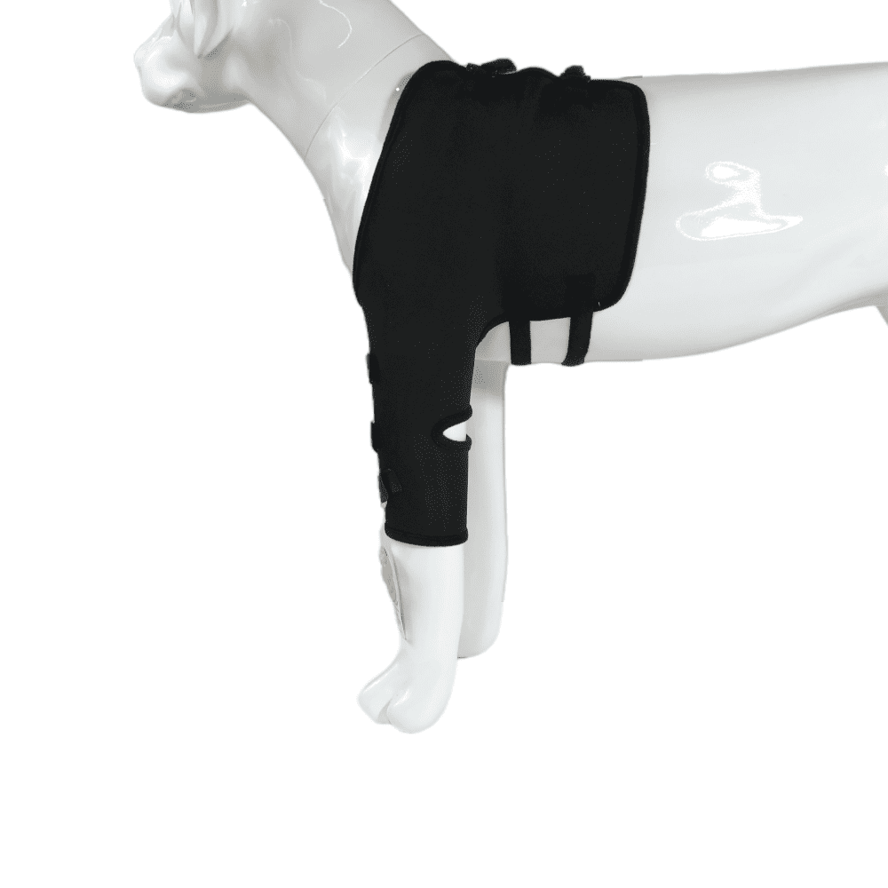 Best Dog Front Shoulder Brace For Sale | LOVEPLUSPET