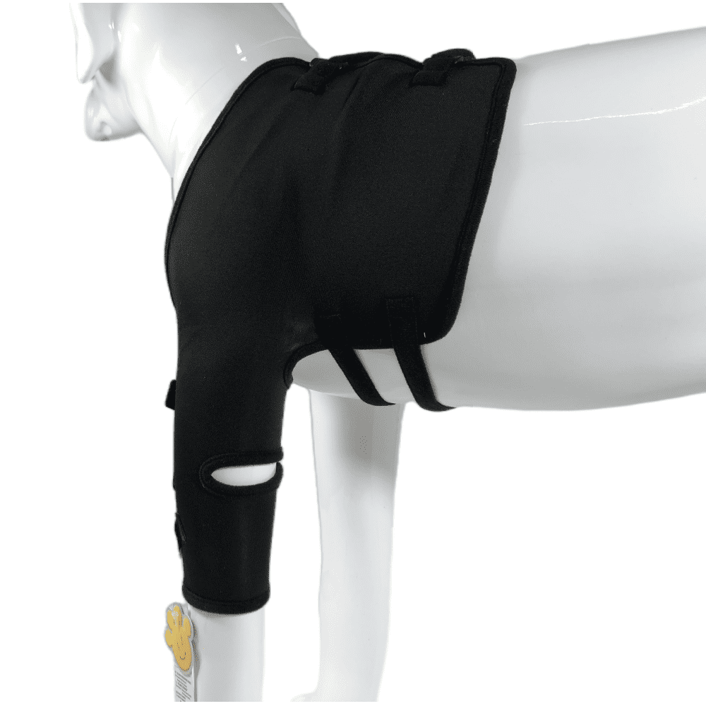 Best Dog Front Shoulder Brace For Sale | LOVEPLUSPET