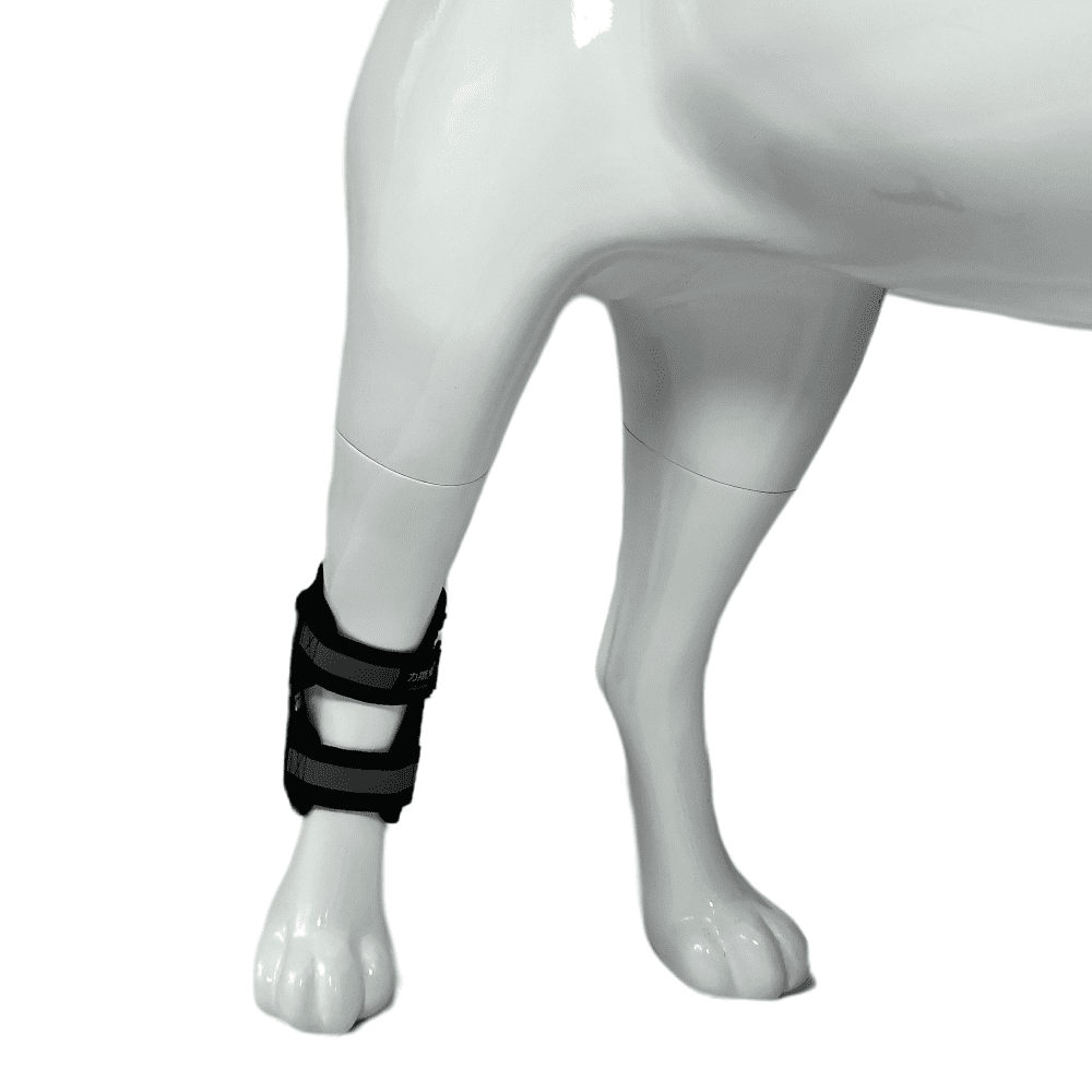Best Dog Hock Brace For Sale | LOVEPLUSPET